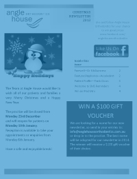 Christmas 2013 newsletter