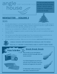 Newsletter volume 3 (Christmas edition)